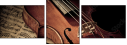53848073