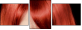 53895869