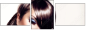 54432402