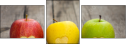 55484611