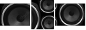 56799314