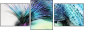 58274972