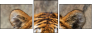59798134