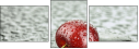 67079233