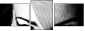 68753034