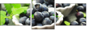 69394583