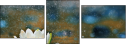 72576012