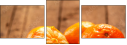 76269505