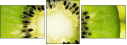 79048317