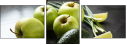 79260303