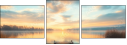 920067317