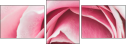 95247840