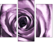 11865044