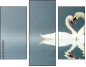 12112158