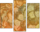 265907570