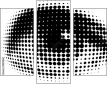 29211462