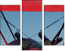 35709647