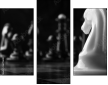 36714610