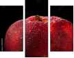 78900295