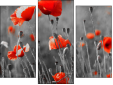 Triptych - Three-piece canvas