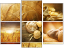 Triptych - Three-piece canvas