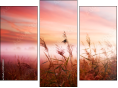Triptych - Three-piece canvas