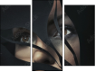 Triptych - Three-piece canvas