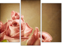 Triptych - Three-piece canvas