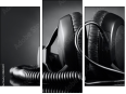 Triptych - Three-piece canvas
