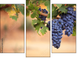 Triptych - Three-piece canvas