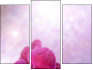 Triptych - Three-piece canvas