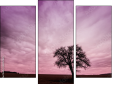 Triptych - Three-piece canvas