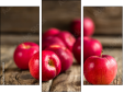 Triptych - Three-piece canvas