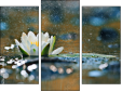 Triptych - Three-piece canvas