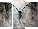 Triptych - Three-piece canvas