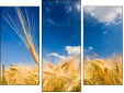 Triptych - Three-piece canvas