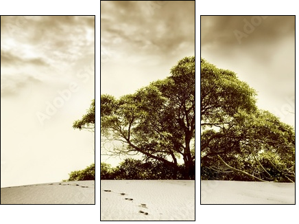 desert - Three-piece canvas, Triptych
