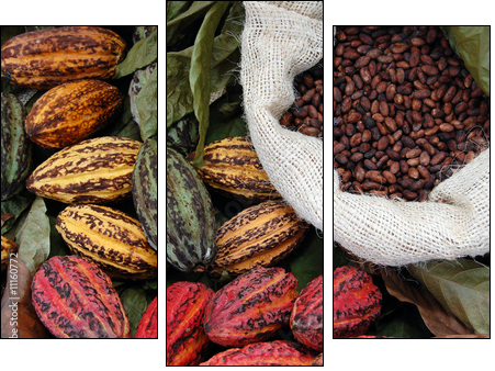Cocoa - Three-piece canvas, Triptych