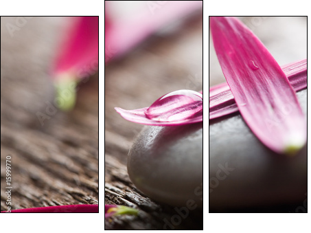 Flower petals - Three-piece canvas, Triptych