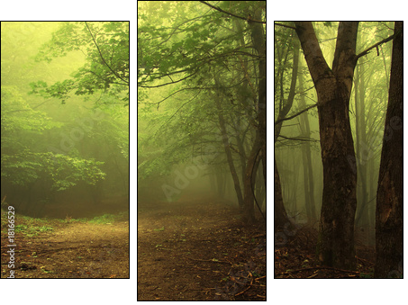 Green forest with fog - Three-piece canvas, Triptych