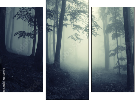 Forest - Three-piece canvas, Triptych