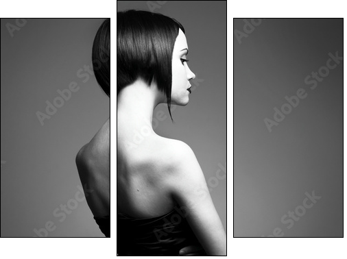 Elegant lady with stylish hairstyle - Three-piece canvas, Triptych