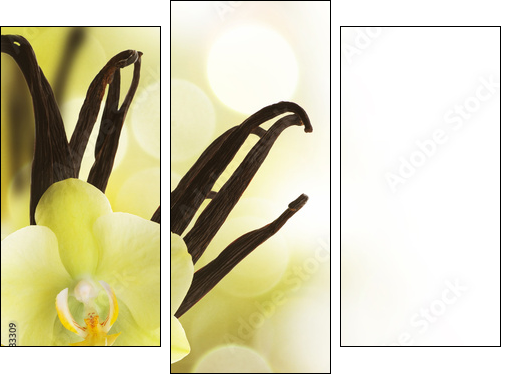 Beautiful Vanilla beans and flower over blurred background - Three-piece canvas, Triptych