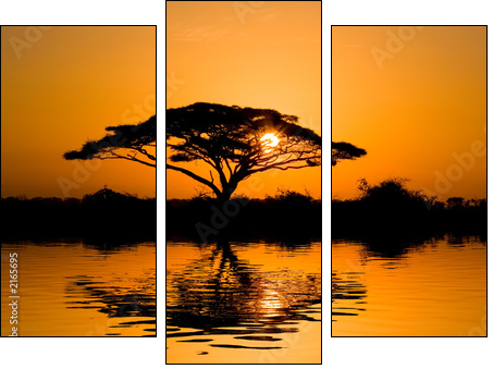 acacia tree at sunrise - Three-piece canvas, Triptych