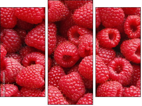 Sweet raspberry - Three-piece canvas, Triptych