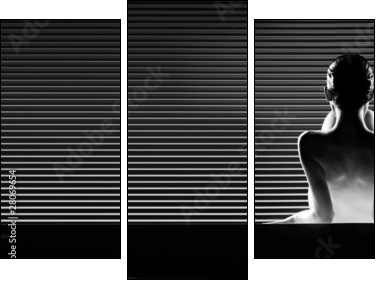 black and white back view artistic nude, on striped background. - Three-piece canvas, Triptych