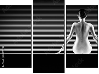 black and white artistic nude; a back silhouette shot on striped - Three-piece canvas, Triptych