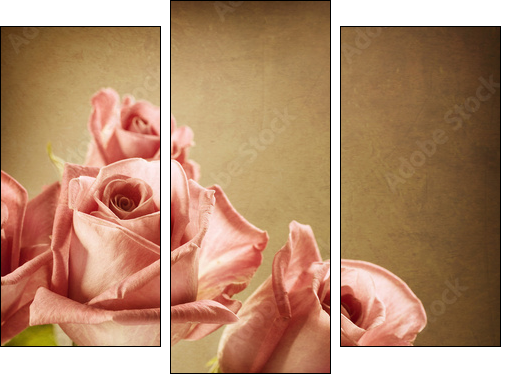 Beautiful Pink Roses. Vintage Styled. Sepia toned - Three-piece canvas, Triptych