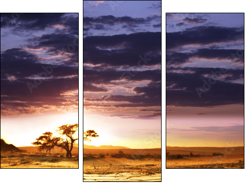 Namib - Three-piece canvas, Triptych