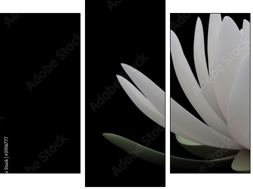 3d lotus - Three-piece canvas, Triptych